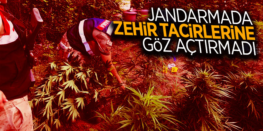 Jandarmada zehir tacirlerine göz açtırmadı