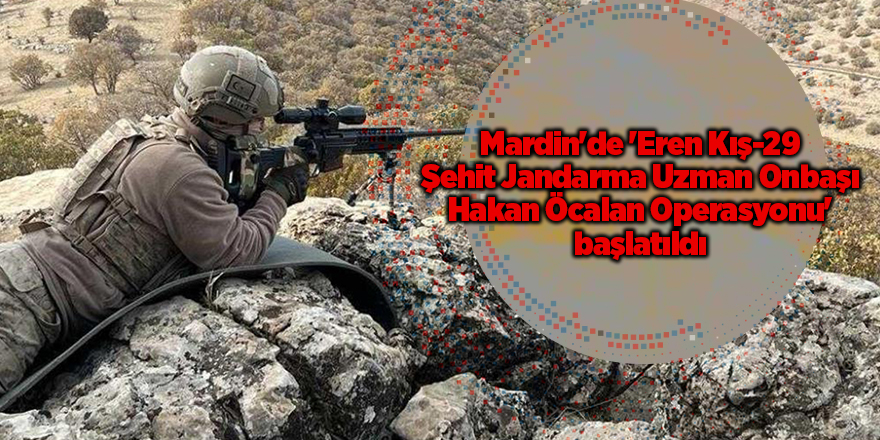 Mardin'de 'Eren Kış-29 Şehit Jandarma Uzman Onbaşı Hakan Öcalan Operasyonu' başlatıldı