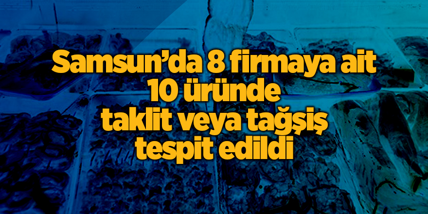 Samsun’da 8 firmaya ait 10 üründe taklit veya tağşiş tespit edildi - samsun haber