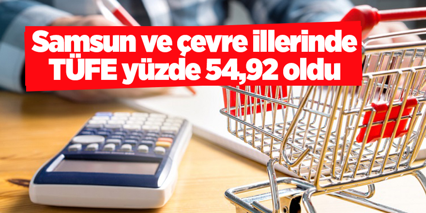 Samsun ve çevre illerinde TÜFE yüzde 54,92 oldu  samsun haber