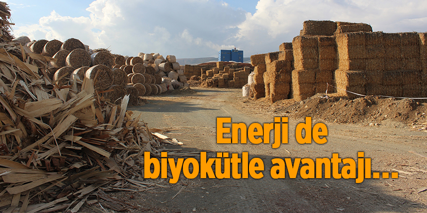 Enerji de biyokütle avantajı…