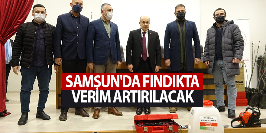 Samsun'da fındıkta verim artırılacak - samsun haber