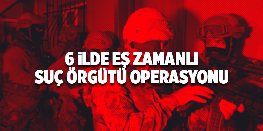 6 ilde eş zamanlı suç örgütü operasyonu