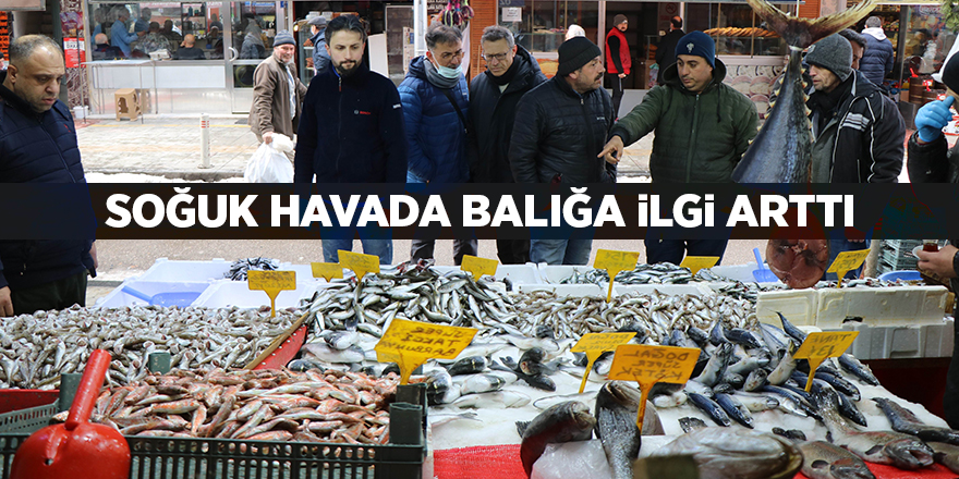 Soğuk havada balığa ilgi arttı