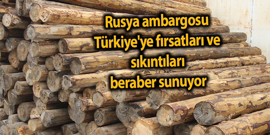 Rusya ambargosu Türkiye'ye fırsatları ve sıkıntıları beraber sunuyor