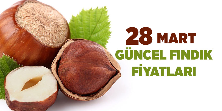 28 Mart güncel fındık fiyatları