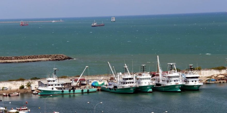 Mayın sıkıntısı yaşanmayan Samsun’da balıkçılar çaça avına başladı