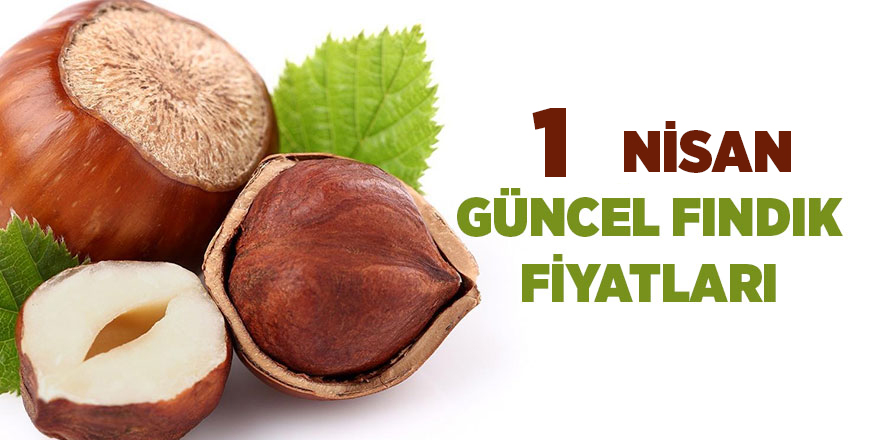 1 Nisan güncel fındık fiyatları