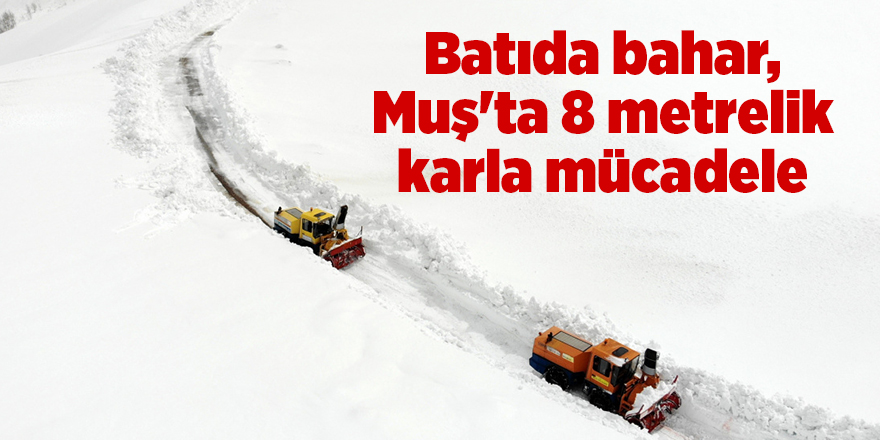 Batıda bahar, Muş'ta 8 metrelik karla mücadele