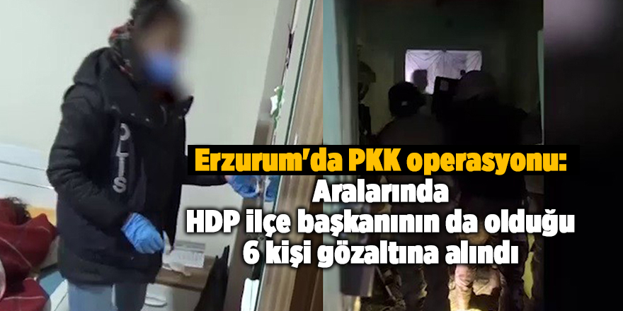 Erzurum'da PKK operasyonu: Aralarında HDP ilçe başkanının da olduğu 6 kişi gözaltına alındı