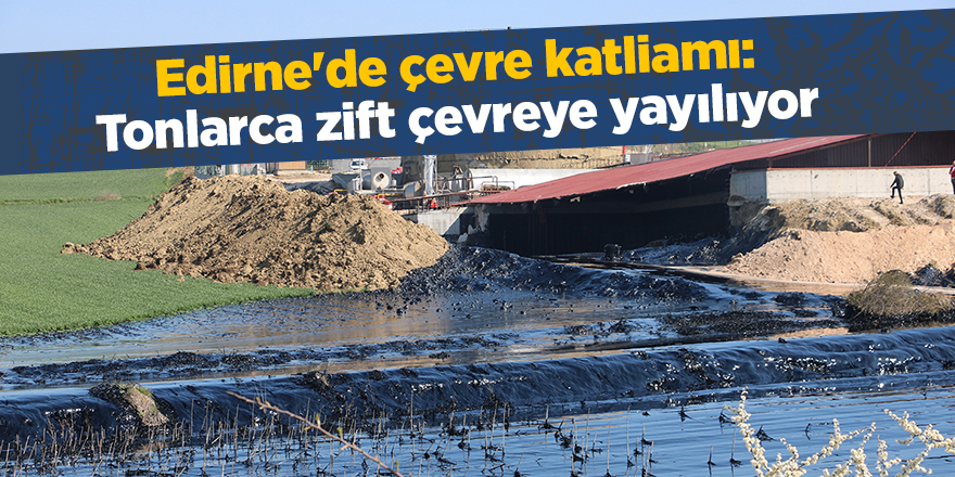 Edirne'de çevre katliamı: Tonlarca zift çevreye yayılıyor