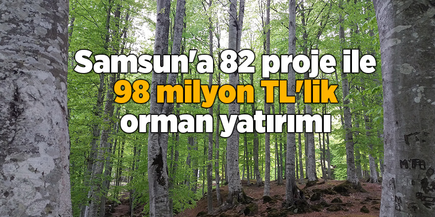 Samsun'a 82 proje ile 98 milyon TL'lik orman yatırımı - samsun haber