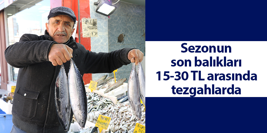 Sezonun son balıkları 15-30 TL arasında tezgahlarda