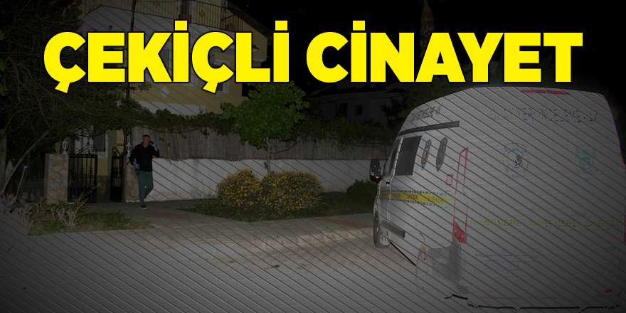 Çekiçli cinayet