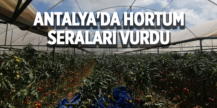 Antalya'da hortum seraları vurdu