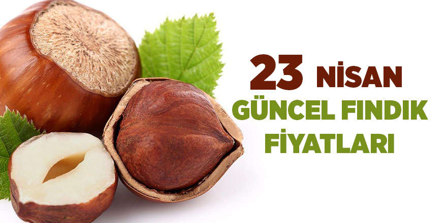 23 Nisan güncel fındık fiyatları