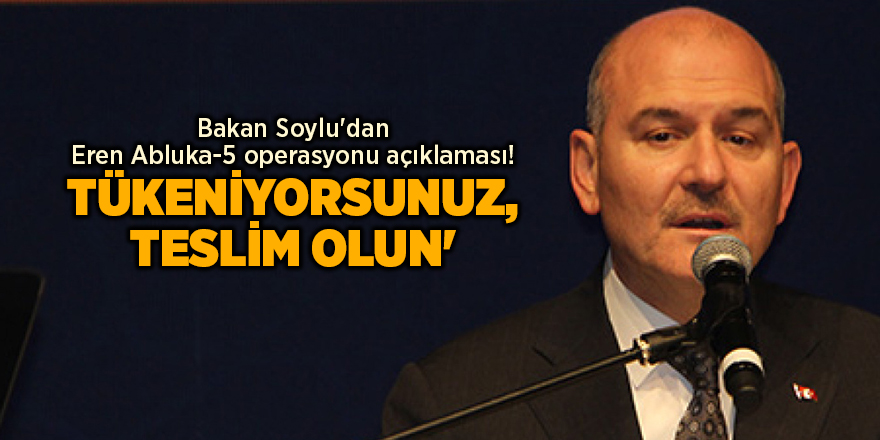 Bakan Soylu'dan Eren Abluka-5 operasyonu açıklaması! Tükeniyorsunuz, teslim olun'