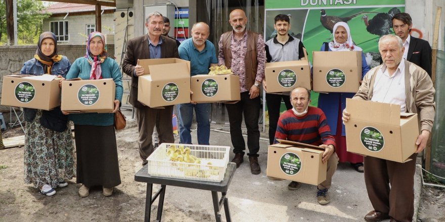 Çarşamba Belediye ilk kazları sahibine teslim etti - samsun haber