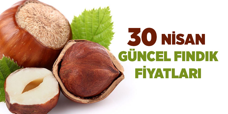 30 Nisan güncel fındık fiyatları