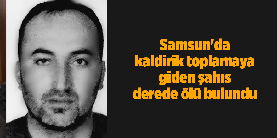 Samsun'da kaldirik toplamaya giden şahıs derede ölü bulundu - samsun haber