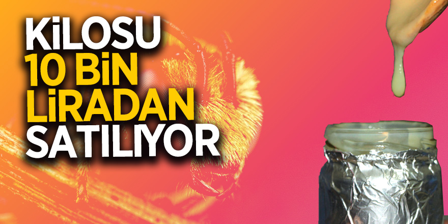 Arı sütünün kilosu 10 bin liradan satılıyor