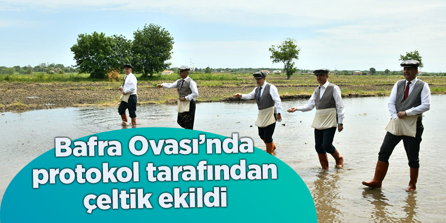 Bafra Ovası’nda protokol tarafından çeltik ekildi - samsun haber