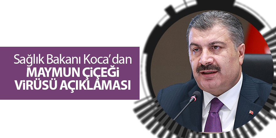 Sağlık Bakanı Koca: 'Bugüne kadar bizde maymun çiçeği vakası olmadı'