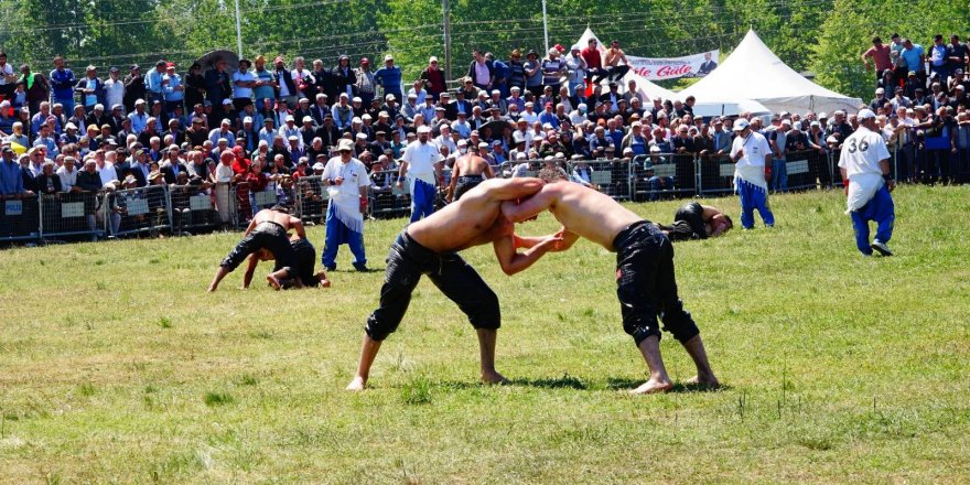 İlkadımlı güreşçilerden 11 madalya - samsun haber