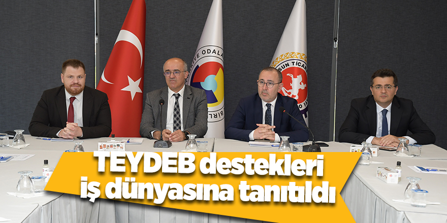 TEYDEB destekleri iş dünyasına tanıtıldı - samsun haber