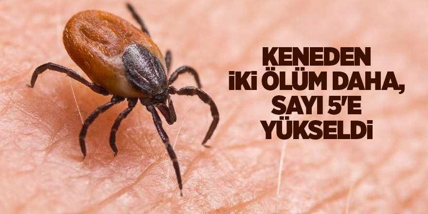 Keneden iki ölüm daha, sayı 5'e yükseldi