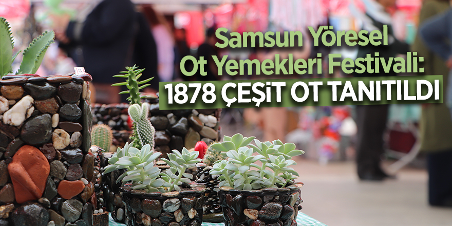 Yöresel Ot Yemekleri Festivali: 1878 çeşit ot tanıtıldı