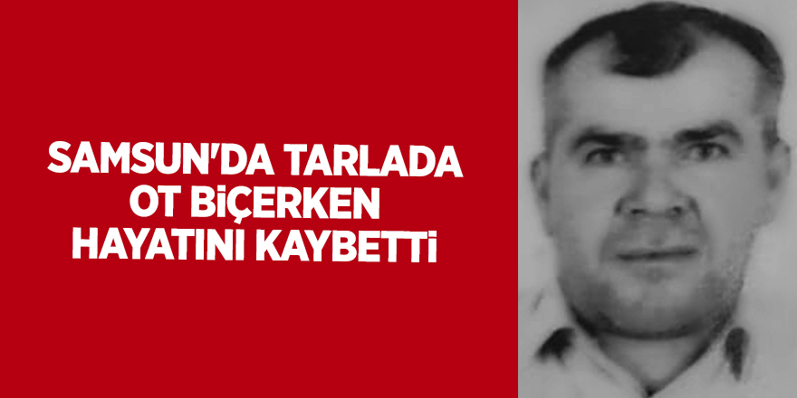 Samsun'da tarlada ot biçerken hayatını kaybetti - samsun haber