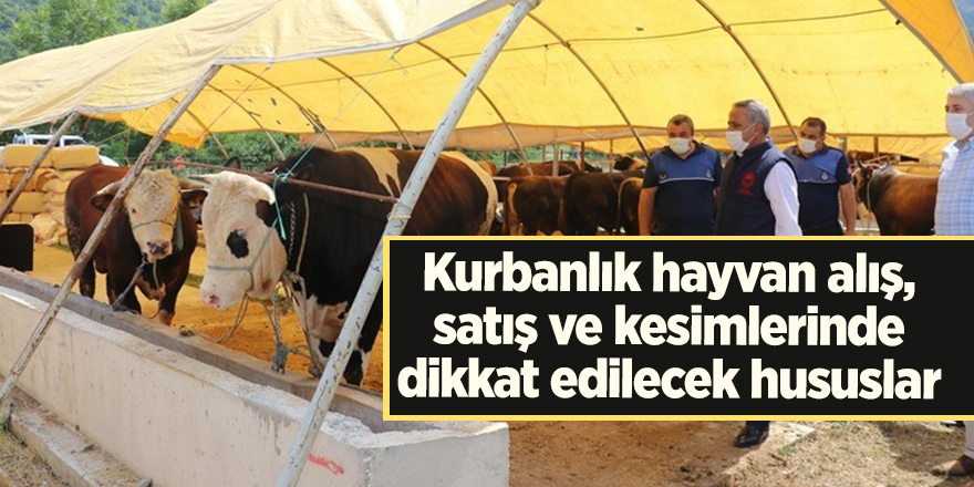 Kurbanlık hayvan alış, satış ve kesimlerinde dikkat edilecek hususlar