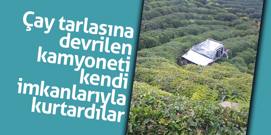 Çay tarlasına devrilen kamyoneti, kendi imkanlarıyla kurtardılar