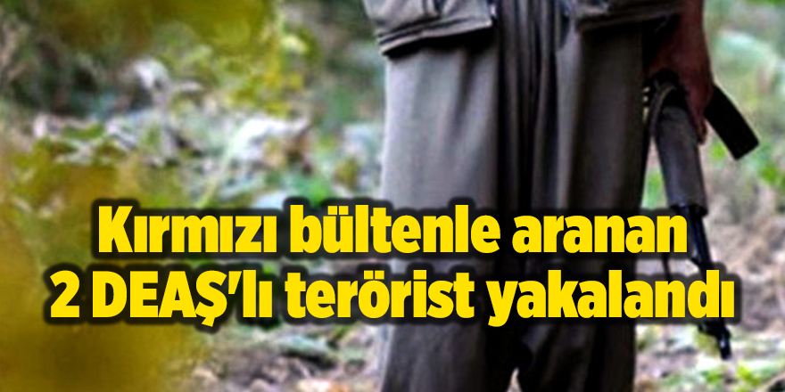 Kırmızı bültenle aranan 2 DEAŞ'lı terörist yakalandı