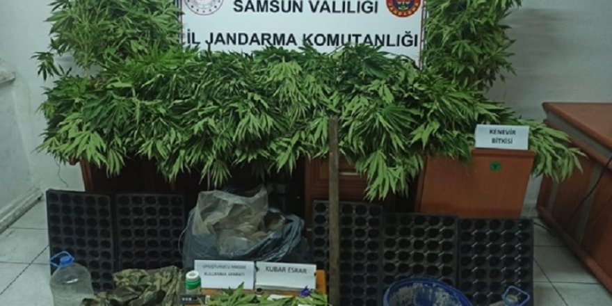 Samsun jandarma uyuşturucu ve kaçakçılığa geçit yok vermedi - samsun haber