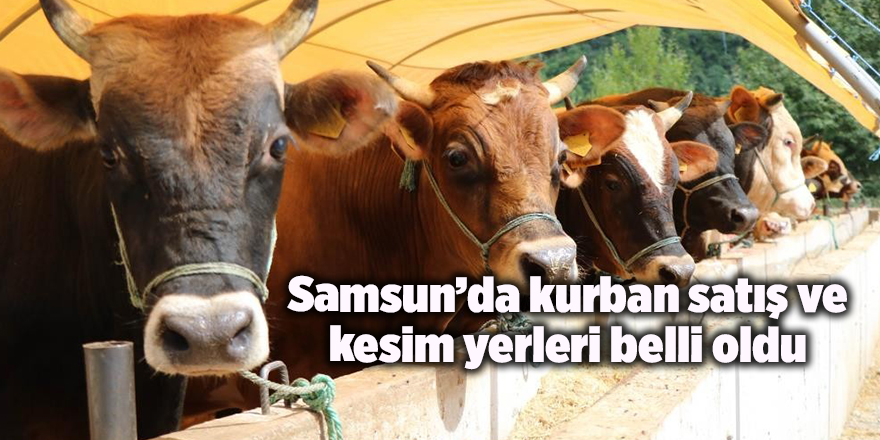 Samsun’da kurban satış ve kesim yerleri belli oldu - samsun haber