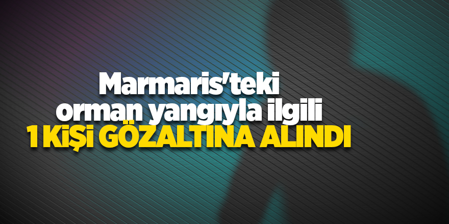 Marmaris'teki orman yangıyla ilgili 1 kişi gözaltına alındı