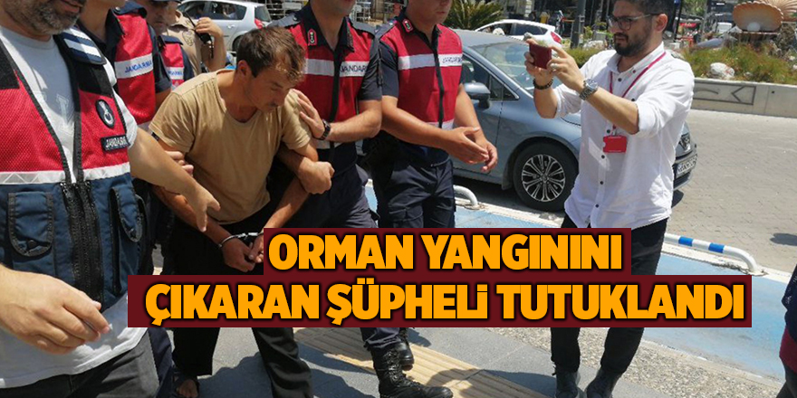 Orman yangınını çıkaran şüpheli tutuklandı