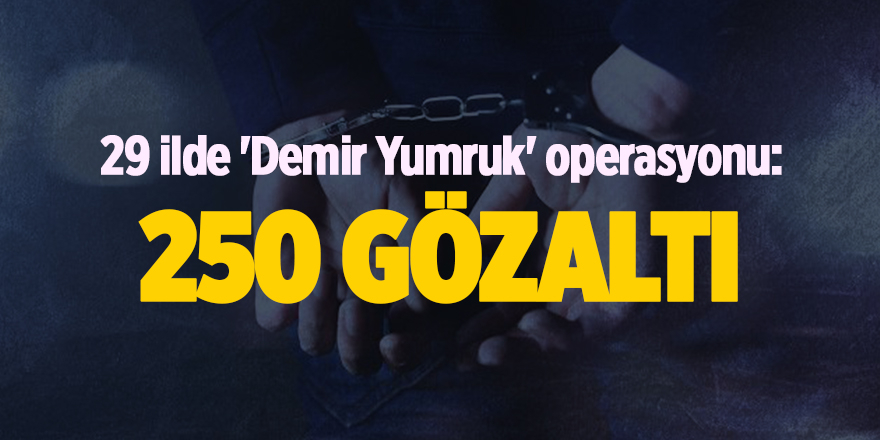 29 ilde 'Demir Yumruk' operasyonu: 250 gözaltı