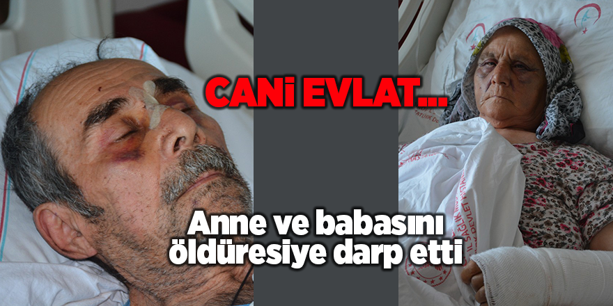 Anne ve babasını öldüresiye darp etti