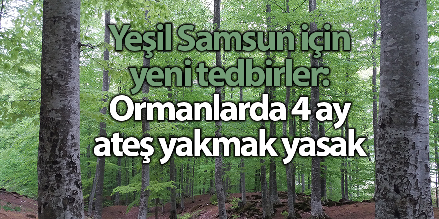 Yeşil Samsun için yeni tedbirler: Ormanlarda 4 ay ateş yakmak yasak