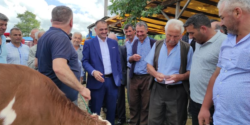 Başkan Akgül kurban pazarını gezdi - samsun haber