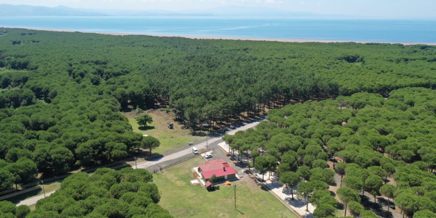 ‘ÇARŞAMBA ORMAN PARK’ MİSAFİRLERİNİ BEKLİYOR - samsun haber