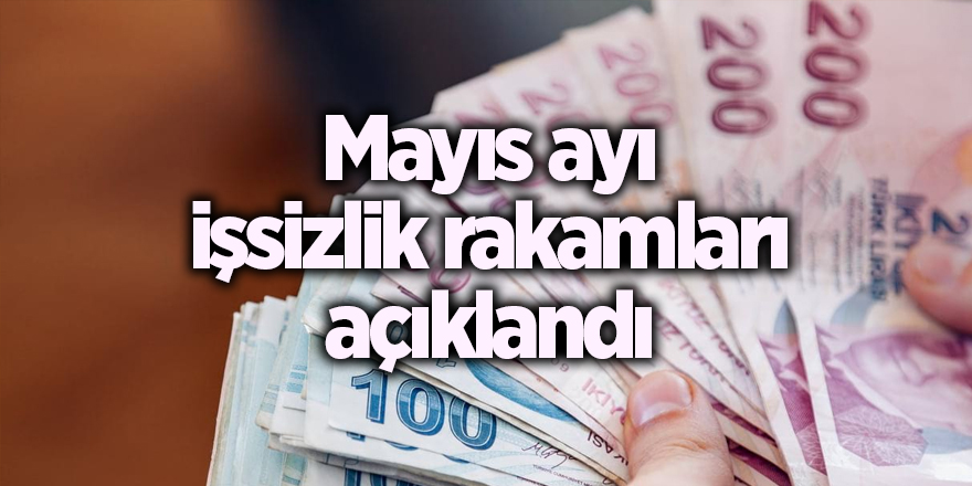 Mayıs ayı işsizlik rakamları açıklandı