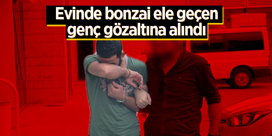 Evinde bonzai ele geçen genç gözaltına alındı