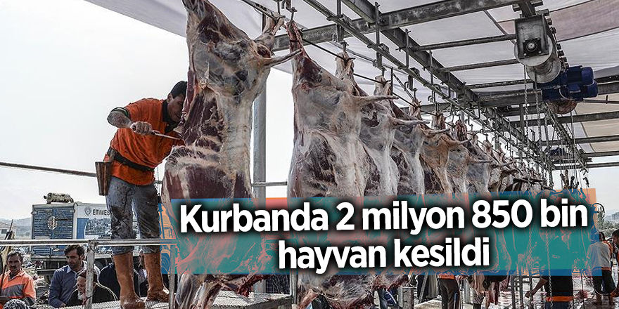 Kurbanda 2 milyon 850 bin hayvan kesildi