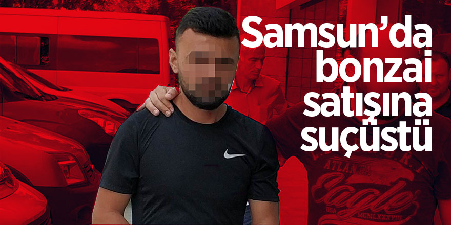 Samsun’da bonzai satışına suçüstü 