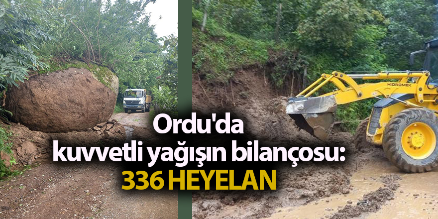 Ordu'da kuvvetli yağışın bilançosu: 336 heyelan