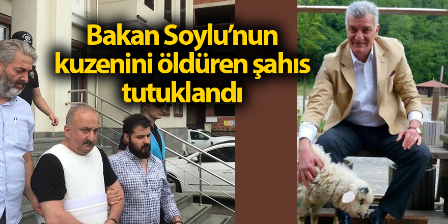 Bakan Soylu’nun kuzenini öldüren şahıs tutuklandı